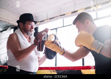 Seitenansicht des Boxermanns, der die Handschuhe des Trainers in der Turnhalle stanzt. Stockfoto