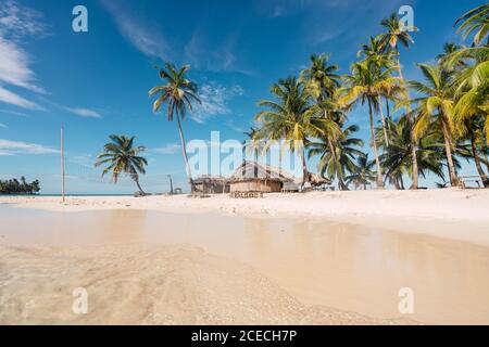 Sandstrand mit Palmen und Gebäude in der Nähe der Wasseroberfläche Stockfoto