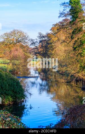 Der Fluss Wey läuft durch Felder mit Bäumen in Herbstfarben im Spätherbst / frühen Winter, bei Pyrford, Surrey, Südostengland, UK Stockfoto