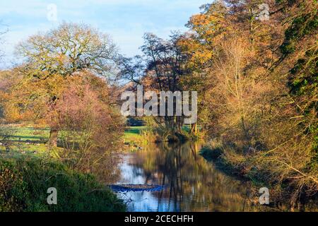 Der Fluss Wey läuft durch Felder mit Bäumen in Herbstfarben im Spätherbst / frühen Winter, bei Pyrford, Surrey, Südostengland, UK Stockfoto