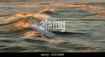 Langzeitbelichtung von goldenen Wellen bei Sonnenuntergang Stockfoto