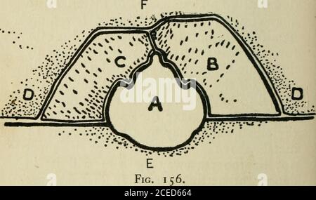 . Silberarbeit und Schmuck; ein Textbuch für Studenten und Arbeiter in Metall, von H. Wilson. Und gut in durch die evlyverteilte Schläge eines Schläges. Den überflüssigen Sand abschlagen und das Modell in den Kolben legen, damit es beim Ausgiessen oder Gießen des Metalls ein gutes Metallgewicht über dem Modell haben kann. Doch es ist nicht zu weit weg, oder Sie werden ärgern sich immer ein schwammiger Guss, weil das Metall in seinem Durchgang in die Form gekühlt haben. Nachdem Sie die Position des Modells fixiert haben, nehmen Sie ein Metallspatel-Modellierwerkzeug und graben eine Mulde im Sand gerade groß e aus Stockfoto