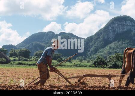 Mann, der Land mit Pflug und Ochsen auf einem Bauernhof in der Nähe von Hügeln anbaut Stockfoto