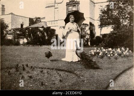 . Raymond, oder Leben und Tod : mit Beispielen für das Überleben der Erinnerung und Zuneigung nach dem Tod. MR. JACKSON MIT M. F. A. L. IN MARIEMONT ZWEI BEWEISSITZUNGEN 259 abgeleitet, aus der Nähe von einer von ihnen. Und es ist eines, auf dem der Pfau gewöhnlich zu stossen pflegte; obwohl, ob daraus die Folgerung folgte, oder hatte eine con-nexion mit, der Pfau ist unsicher, und scheint geleugnet zu werden.] Ja, he es nicht so klar jetzt, Soliver. Er hat sich selbst begeistert. Manchmal genießt er sich souch, er vergisst, die guten Dinge zu tun, die er vorbereitend. Ich könnte Stunden und Stunden bleiben, sagt er.BU Stockfoto