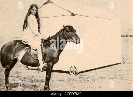 . Raymond, oder Leben und Tod : mit Beispielen für die Beweise für das Überleben der Erinnerung und Zuneigung nach dem Tod. Eine bräunliche-farbige Erde, nicht schön grün, aber sandig-farbigen Boden. Während Feda auf das Land schaut, steigt der Boden im Hintergrund scharf an. Musthave gemacht worden, um zu steigen, es klebt in der Luft.Hes zeigt es, als ob es in einem Foto oder Bild sein sollte. Feda fragte sich, wofür es da war. Es ist ein witzig geformtes Zelt, notround, irgendwie schief-seitig. Die Tür ist nicht die richtige Tür, sie ist schlapp. Sie sollten in der Lage sein, ein Bild davon zu sehen. [Siehe Fotos in den Bildern.]o. j. l. – hat es mit Witz zu tun Stockfoto
