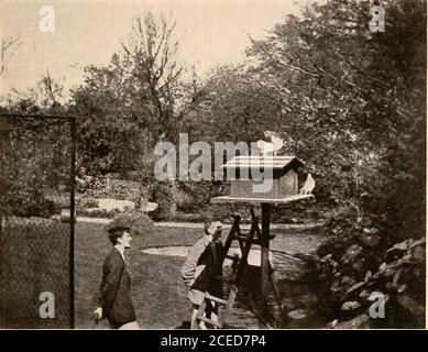 . Raymond, oder Leben und Tod : mit Beispielen für das Überleben der Erinnerung und Zuneigung nach dem Tod. MARIEMONT. RAYMOND UND BRODIE MIT DEN TAUBEN IN MARIEMONT PRIVATE SITZUNGEN IN MARIEMONT 225 WARNUNG Es kann gut sein, ein Wort der Warnung an diejenigen, die whofind, dass sie eine ungewöhnliche Macht in der psychicdirection besitzen, und zu beraten geregelten Mäßigung in seiner Verwendung. Und auch die einfache Fähigkeit des automatischen Schreibens kann mit den besten Absichten falsch angewendet werden. Selbstkontrolle ist wichtiger als jede andere Form von Kontrolle, und wer auch immer die Macht von rece besitzt Stockfoto