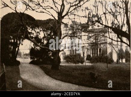 . Raymond, oder Leben und Tod : mit Beispielen für das Überleben der Erinnerung und Zuneigung nach dem Tod. Er Eindruck machte uponthem war, dass Raymond wusste, dass sie ein Ende erwartet hatte, und dass er amüsed war, indem sie ihnen ein anderes gelungen. Und das Tischtuch wie lachend.]Wir redeten etwas später mit ihm, und Alecand Noel legte ihre Hände auf den Tisch, Und wir haben gute Nacht gesagt.Es ist nur notwendig hinzuzufügen, dass die hier beschriebenen mechanischen Bewegungen nicht zu denen gehören, die ich auf Seite218 als physisch unfähig bezeichnet habe, durch Mus getan zu werden Stockfoto