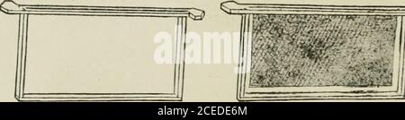 . Ein Buch über Bienen. Ihre Geschichte, Gewohnheiten und Instinkte; zusammen mit den ersten Prinzipien der modernen Bienenhaltung für junge Leser. Hive zeigt Rahmen in Position. Von Wachs werden von einer Maschine gedrückt, und laufen durch Rollen, die haben, auf sie und alle über ihnen geschnitten, die genaue Ähnlichkeit des Anfangs der Kamm-Zellen. Und so, wenn das Blatt zwischen den 136 DER RAHMEN HIVE übergeben wird. Rollen und fertig ist, hat es auf allen Teilen erhalten, und auf beiden Seiten, Eindrücke wie die Start-ment von Zellen. Diese Blätter – zumindest für den Einsatz innerhalb des Bienenstocks – sind ebenfalls aus genau dieser Dicke o gefertigt Stockfoto