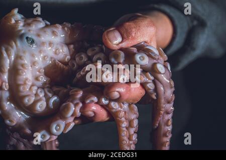 Der Mensch hält einen rohen Oktopus in den Händen. Dunkles Foto. Stockfoto