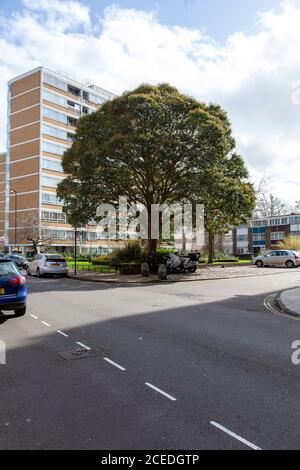 Bahnbrechende Architektur des Churchill Gardens Estate, Pimlico, London SW1, Mitte des 20. Jahrhunderts Stockfoto