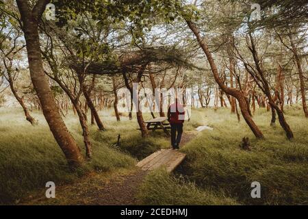 Rückansicht des Mannes, der auf einer Holzbrücke auf dem Weg läuft Im grünen Park auf der Insel Feroe Stockfoto