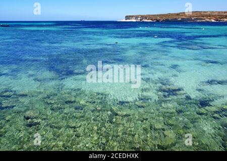 Kristallklares Meer in St. Thomas Bucht, Malta Stockfoto