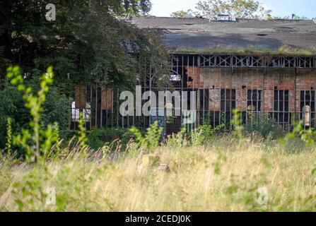 Wernigerode, Deutschland. August 2020. Das historische Palmenhaus im Lustgarten Wernigerode. Die Schlossgärten sind Teil des Netzwerks 'Gartenträume - Historische Parks in Sachsen-Anhalt', das in diesem Jahr sein 20-jähriges Bestehen feiert. Quelle: Klaus-Dietmar Gabbert/dpa-Zentralbild/ZB/dpa/Alamy Live News Stockfoto