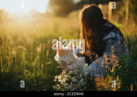 Kräuter und Gras in warmen Sonnenuntergang Licht auf dem Hintergrund von verschwommenen weißen Welpen und stilvolle Mädchen mit Gänseblümchen Bouquet in Sommerwiese. Annahme Konzept, Kopie Stockfoto