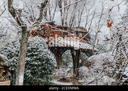 Haus auf Bäumen im Winterwald Stockfoto