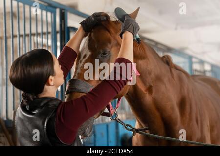 Frau Reiter bereitet sich auf Reiten Pferd über Hippodrom Stockfoto