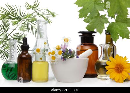 Ein Apotheker für natürliches Wohlbefinden und Selbstversorgung. Kräuter und Medikamente. Stockfoto