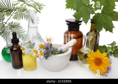 Homöopathie Header / Banner mit vielen verschiedenen Kräutern und Blumen. Stockfoto