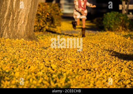 Mädchen läuft auf Gehweg zwischen gelben Blättern Stockfoto