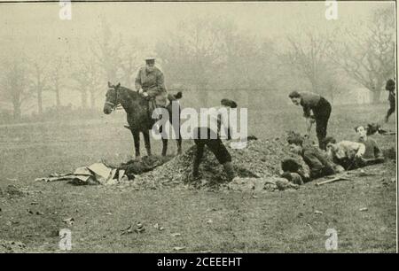 . Kitchener Armee und die territorialen Kräfte, die volle Geschichte einer großen Leistung;. -&gt;«i^ Stockfoto