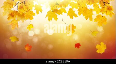 Panorama der Herbstlandschaft, schöner Stadtpark mit gefallenen gelben Blättern. Herbst goldenen abstrakten Hintergrund mit Bokeh Licht und bunten Herbst leav Stockfoto