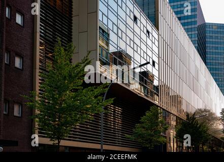 Spiegelglaswand des modernen Firmengebäudes in Hamburg Deutschland. Urbane abstrakte Reflexion in Fenstern der Büroarchitektur im Sonnenuntergang Licht des GO Stockfoto