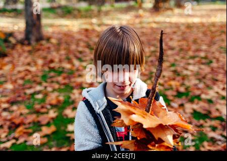 Junge, der auf dem Land einen Ast voller trockener Blätter hält Stockfoto