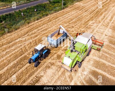 Aerial Drohne Draufsicht große leistungsstarke industrielle Mähdrescher Maschine Entladen bin von Weizen Getreide in Traktor auf dem Feld hellen Sommertag Stockfoto