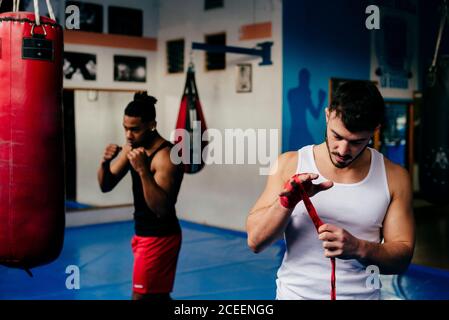 Muskulöser Erwachsener, der im Boxclub eine Bandage an den Händen auflegt. Stockfoto