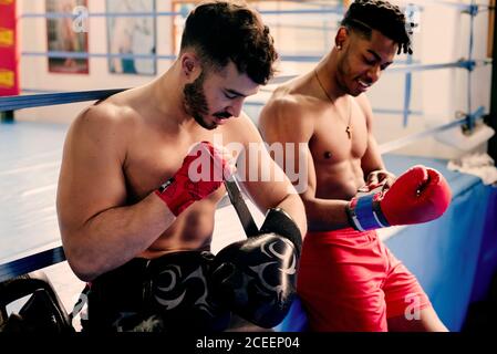 Ethnische und weiße muskulöse Männer sitzen im Boxclub und ziehen Handschuhe an. Stockfoto