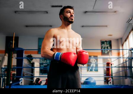 Hübscher muskulöser Mann in Handschuhen, der im Fitnessstudio beim Boxsack steht. Stockfoto
