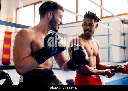 Ethnische und weiße muskulöse Männer sitzen im Boxclub und ziehen Handschuhe an. Stockfoto