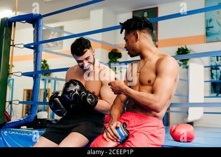 Ethnische und weiße muskulöse Männer sitzen im Boxclub und ziehen Handschuhe an. Stockfoto