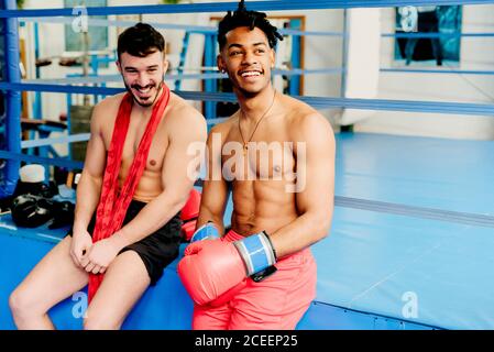 Ethnische und weiße muskulöse Männer sitzen im Boxclub und ziehen Handschuhe an. Stockfoto