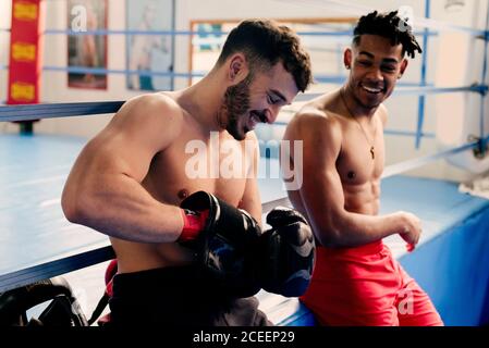 Ethnische und weiße muskulöse Männer sitzen im Boxclub und ziehen Handschuhe an. Stockfoto