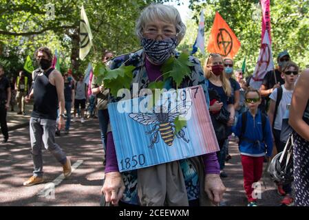 Extinction Rebellion Protesters in der Nähe des Buckingham Palace im Zentrum von London, Großbritannien am 1. September 2020. Die Umweltgruppe plant eine Woche Protestaktionen in der Hauptstadt. (Foto von Claire Doherty/Sipa USA) Stockfoto