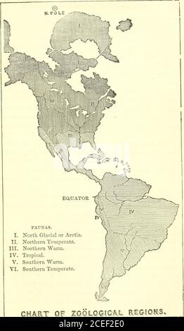 . Grundsätze der Zoölogie : Berühren der Struktur, Entwicklung, Verteilung und natürliche Anordnung der Rassen von Tieren, lebende und ausgestorbene mit zahlreichen Abbildungen : Teil 1, Vergleichende Physiologie : für den Einsatz von Schulen und Hochschulen. Inution in Faunen, wie durch das Klima bestimmt, als der Kontinent Amerika; Sich ausdehnend, wie es tut, um beide Hemisphären, und alle Breiten umschließend, so dass Allklimata auf ihm dargestellt werden, wie das Diagramm auf der folgenden Seite zeigt. 415. Lassen Sie einen Reisenden nach Island einschiffen, das auf den Grenzen des Polarkreises liegt, mit der Aussicht zu beobachten,i Stockfoto