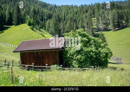 Blockhütte in den Dolomiten, umgeben von grünen Feldern und Bergen. Alpenbogen. Alpen. Chalet. Italien Stockfoto