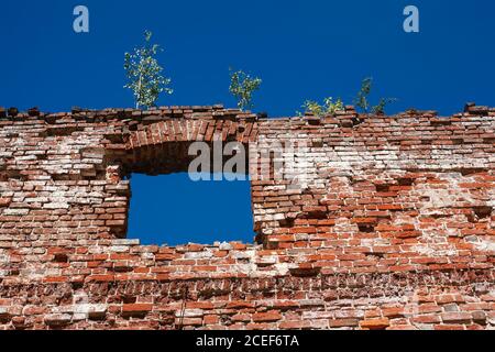 Ruinierte alte Backsteinmauer mit Fensterloch und Bäumen An sonnigen Tagen oben Stockfoto