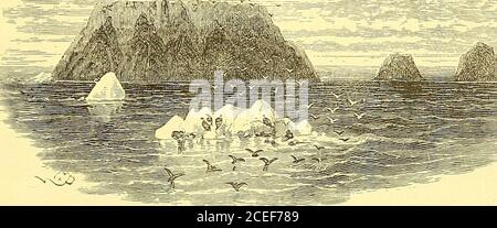 . Abenteuer zweier Jugendlicher im offenen Polarmeer. SZENE VOR DER INSEL. Nach den Karten und den Anweisungen, die in Mr. Gilders Ice-Pack und Tundra, die beiden Schiffe, früh am nächsten Morgen, steuerte für das südliche Ende der Insel, und in den Hafen, wo die Rodgersankerte auf ihrer Kreuzfahrt auf der Suche nach der Jeannette. Sie fanden viel Wasser und gute Ankerplätze, wie Mr. Gilder beschrieben hat, obwohl die Bucht mit Eis belastet war, das dort offensichtlich vom Wind geblasen worden war.Da es zwei Schiffe gab, war es sehr manövrierreich, um dort richtig verankert zu werden Stockfoto