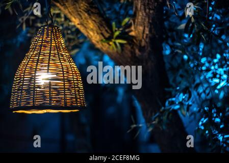 Bambus Lampenschirm in bunten Beleuchtung Baum Stockfoto