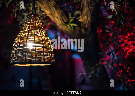 Bambus Lampenschirm in bunten Beleuchtung Baum Stockfoto