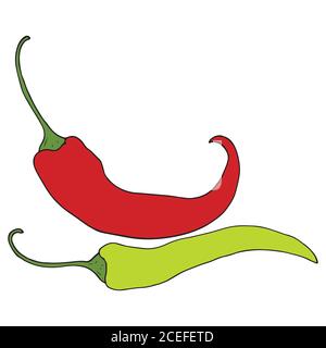 Zwei reife, rote und grüne Chilischoten, Skizze Stil Vektor illus Stock Vektor
