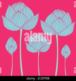 Lotus, schöne, dekorative Blumen aus blau, isoliert auf einem rosa Stock Vektor
