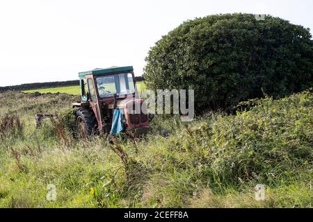 Alte aufgegeben Nuffield 10/60 Diesel-Utility-Traktor Herstellung von denen Wurde 1967 in einem überwucherten Feld in West eingestellt Yorkshire Stockfoto