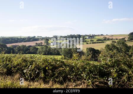 Im Spätsommer weiß getünchte Farmhütten auf den sanften Hügeln von West Yorkshire in der Nähe von Huddersfield mit Bäumen in vollem Laub und sonnenbeschienenen Feldern. Stockfoto