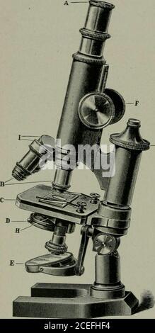 . Pathogene Mikroorganismen, einschließlich Bakterien und Protozoen; ein praktisches Handbuch für Studenten, Ärzte und Gesundheitsbeauftragte. Irect das Licht auf das Objekt zu untersuchen. Es hat zwei Oberflächen – eine konkave und eine Ebene. Die konkave Oberfläche darf nicht verwendet werden, wenn der Substagekondensator verwendet wird, da sonst die Lichtstrahlen, die vom Kondensator in die Bühne gelangen, nicht richtig fokussiert werden. Die konkave sur-Fläche kann verwendet werden, wenn unbefleckte Objekte, wie Kolonien, Hangingdrops, untersucht werden. Gleichzeitig sollte der Abbe-Kondensator abgesenkt und der Blender reguliert werden. Die grobe Adj Stockfoto