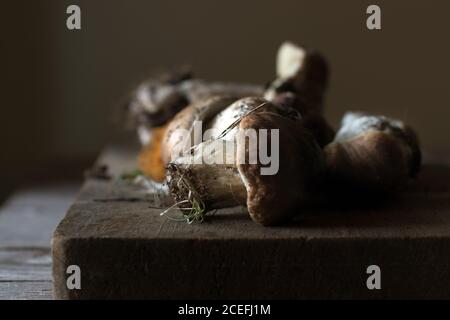 Nahaufnahme des Haufens frisch gesammelter Steinpilze Mit Wurzeln und Schmutz Stockfoto