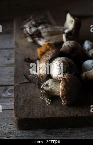 Nahaufnahme des Haufens frisch gesammelter Steinpilze Mit Wurzeln und Schmutz Stockfoto