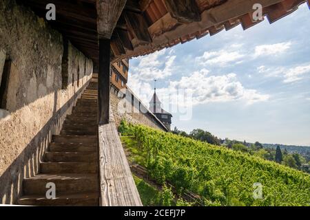 Ein Blick auf die steilen Treppen, die die Stadt hinauf führen Mauer und zum Schloss oberhalb Esslingen am Neckar Stockfoto